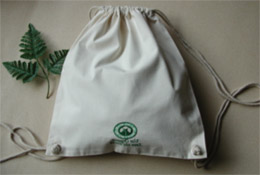 Organic Canvas Sling Bag