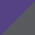 Purple / Dark Smoke Grey